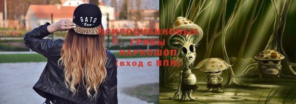 гашик Вязьма