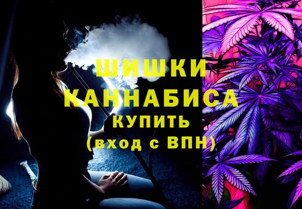 гашик Вязьма
