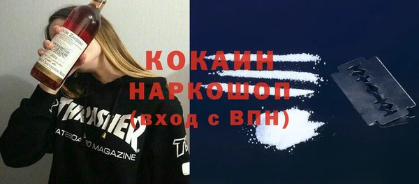 гашик Вязьма