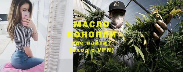 гашик Вязьма