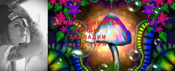 дмт Вяземский