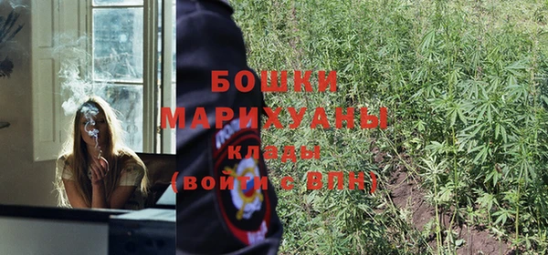 дмт Вяземский
