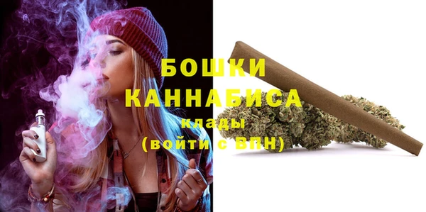 дмт Вяземский