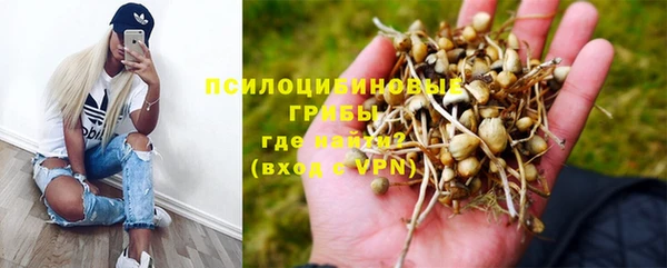 гашик Вязьма