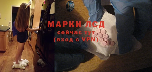 гашик Вязьма
