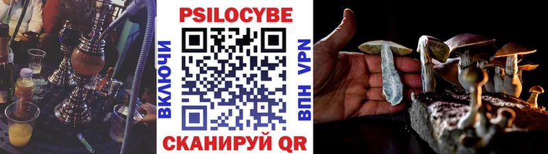 Псилоцибиновые грибы Psilocybine cubensis  продажа наркотиков  Майкоп 